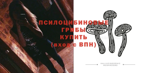 гидропоника Няндома