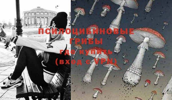 гидропоника Няндома