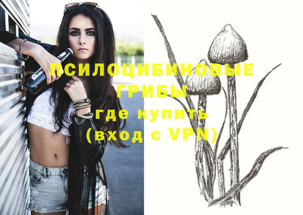 гидропоника Няндома