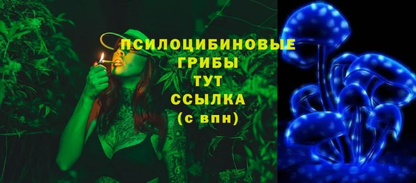 гидропоника Няндома