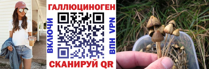 Псилоцибиновые грибы GOLDEN TEACHER Нахабино